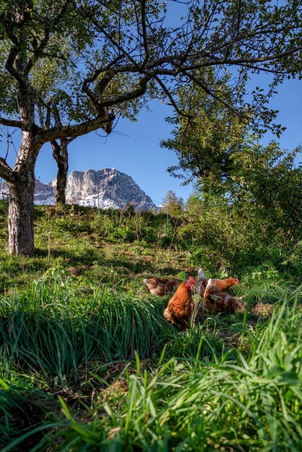 Vila Bauernhof Vorderstiedler Berchtesgaden Exteriér fotografie
